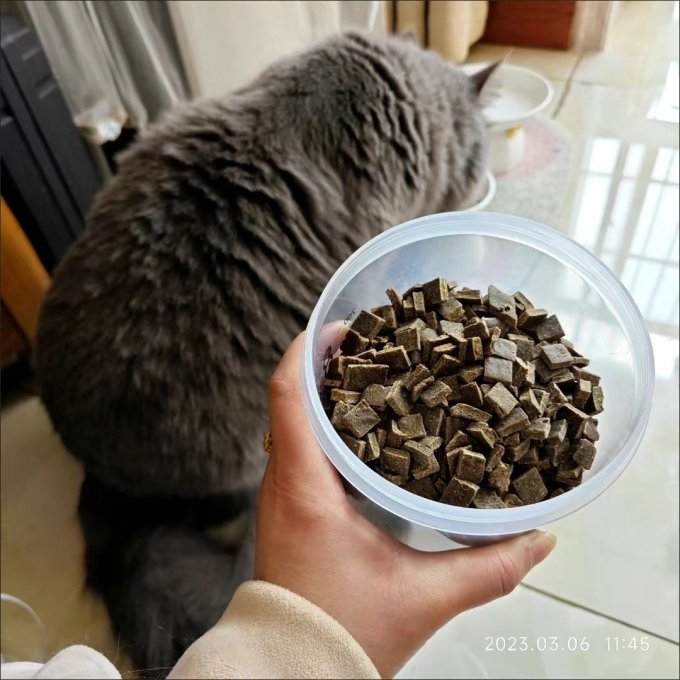 猫咪干粮