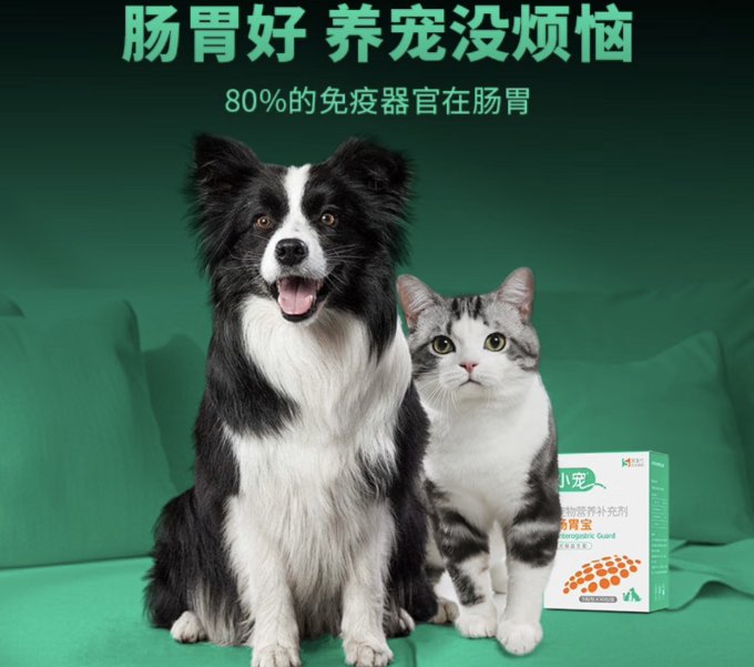 小宠宠物肠胃调理