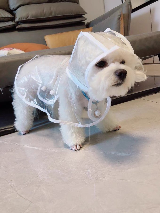 波奇多猫狗通用服饰