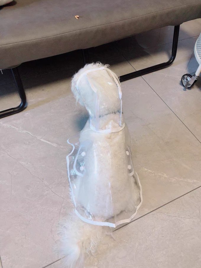 波奇多猫狗通用服饰