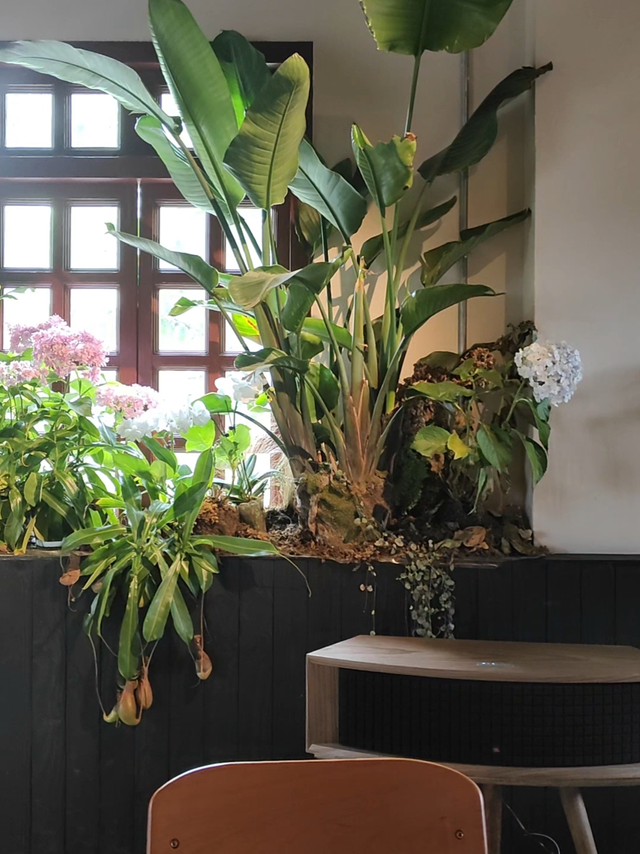 雨天午后的拿铁，和长满鲜花的窗台