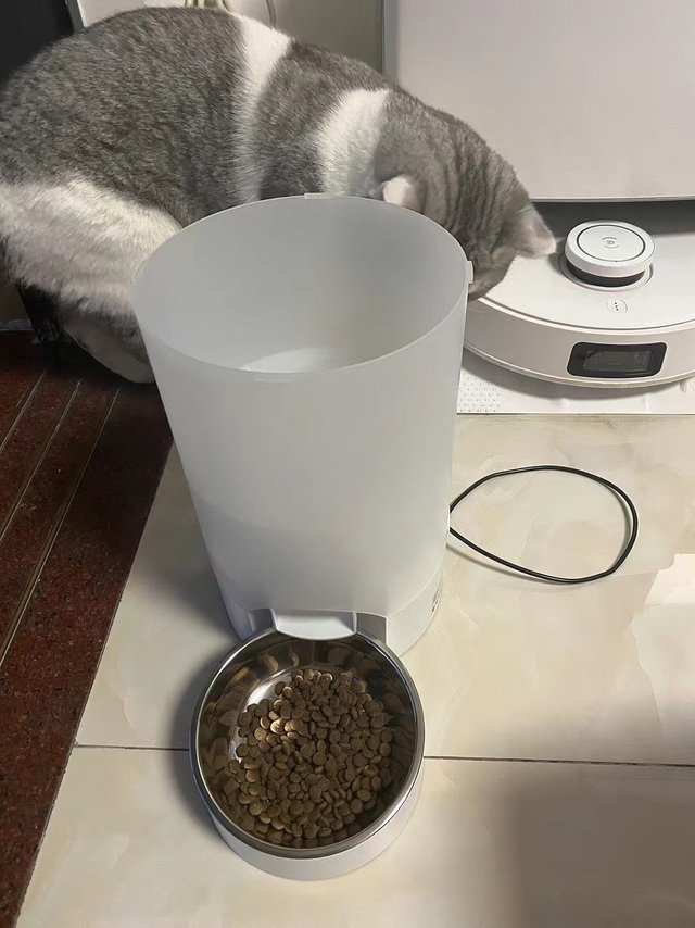 智能喂食，爱宠不饿