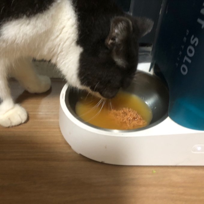 喔喔猫咪零食罐/妙鲜包