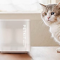 小佩饮水机solo：猫子夏日补水神器，让主子爱上喝水！