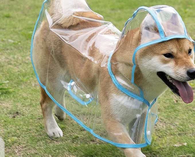 波奇多其他宠物出行装备