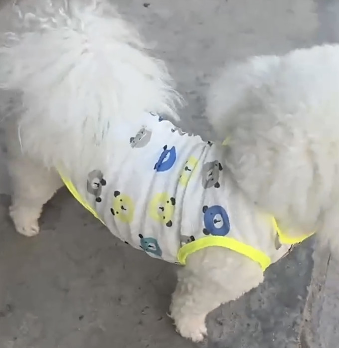 阿莫尔狗狗服饰
