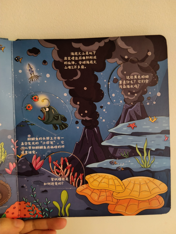 启蒙认知
