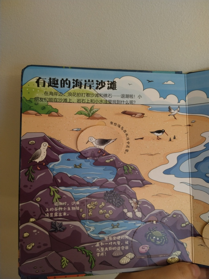 启蒙认知