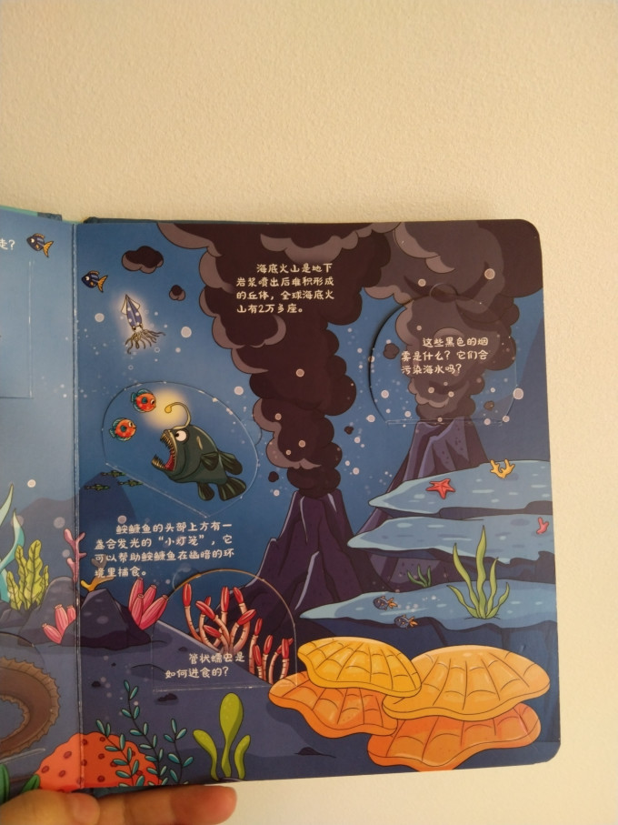 启蒙认知