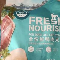 狗狗很喜欢的伯纳天纯