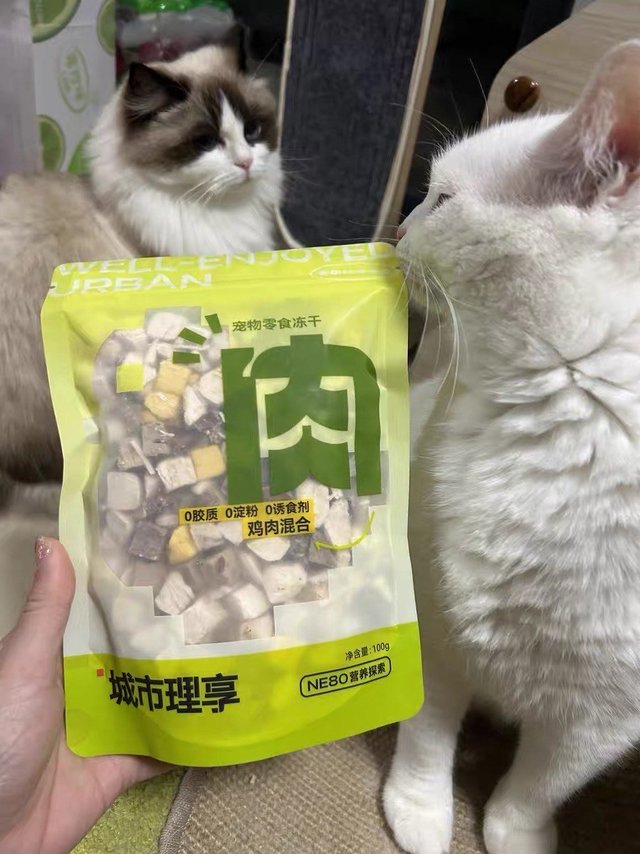 城市理享冻干猫零食：纯肉营养，猫咪增肥发腮的秘密武器！