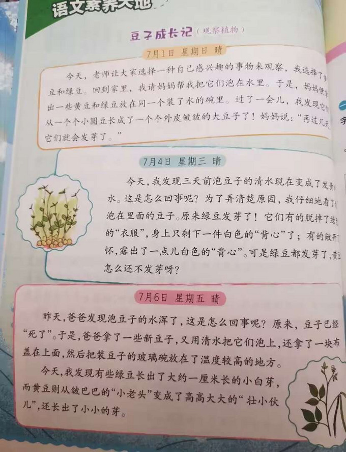 中小学教辅教材