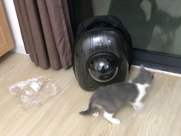 🐾喵星人出行新时尚！迪普尔猫包，萌宠界的“星际飞船”🚀