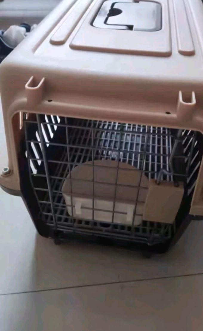 喵先生宠物航空箱