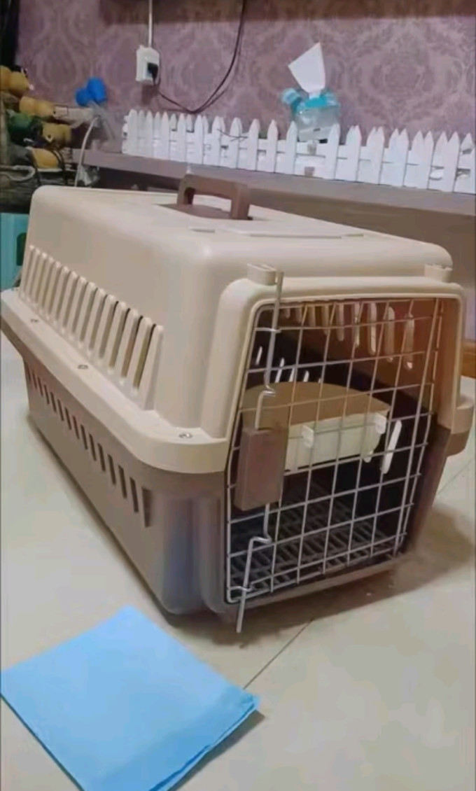 喵先生宠物航空箱