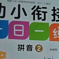 幼小衔接一日一练：幼儿园数学拼音汉字全套教材学前班练习册一年级学前训练 绿色印刷（套装全12册）