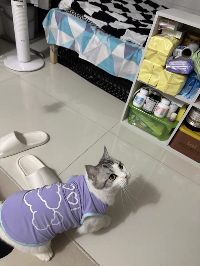 嬉皮狗猫狗通用服饰