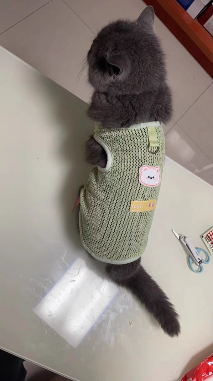 猫狗通用服饰