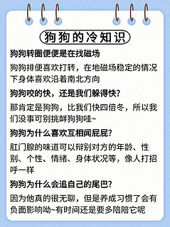 养宠人别跟风！热门宠物梳子大测评来啦！