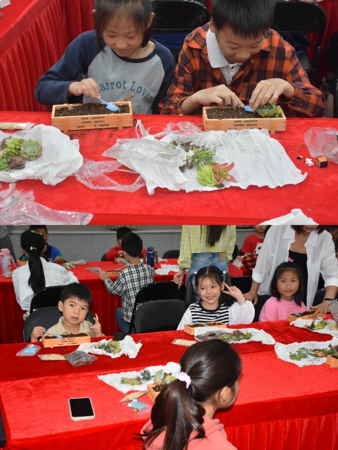 心卉如一多肉