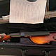 凤灵（FineLegend）1/4小提琴成人儿童初学者乐器手工实木专业入门考级