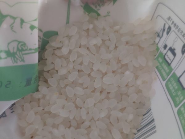 消灭小红包