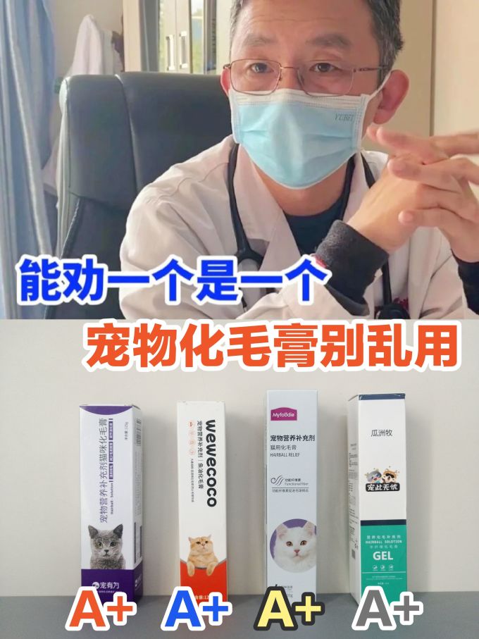 麦富迪其他宠物营养品