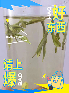 💖消暑必备：白茶的神奇魅力