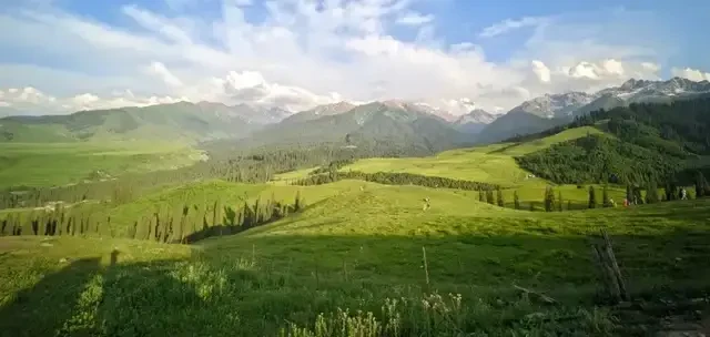 新疆的网红景区，火了就要涨价？还没确定！那拉提出手了，加量还降价！价格战打起来了！