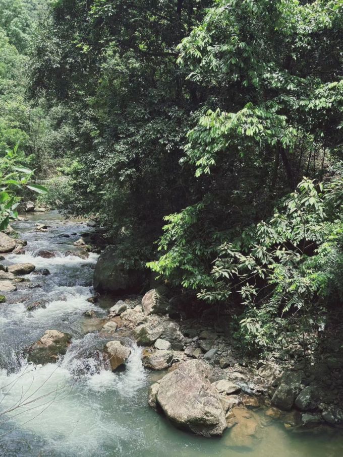 南平溪源大峡谷畅游桃源仙境