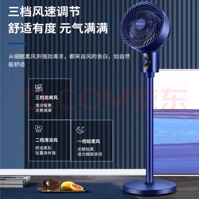 荣事达电风扇