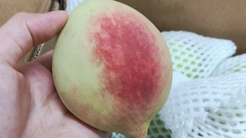 夏日里的小确幸，是鹰嘴桃啊 