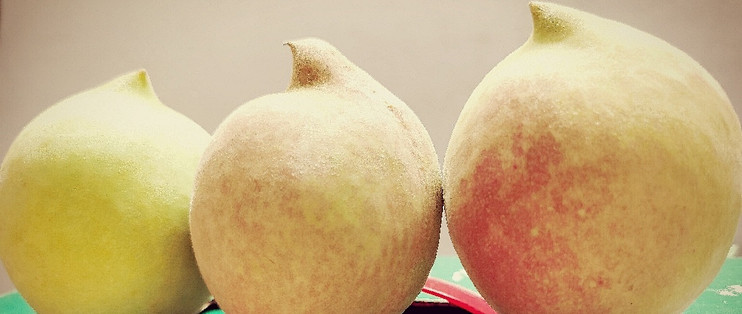 鹰嘴桃，夏日里的甜蜜诱惑！
