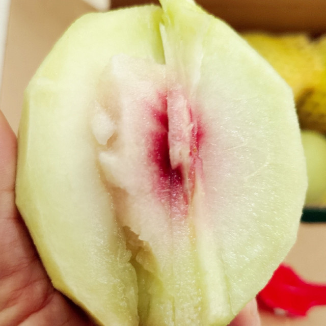 鹰嘴桃，夏日里的甜蜜诱惑！