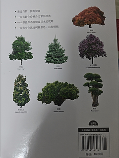 常见树木图鉴：探索身边的绿色朋友！