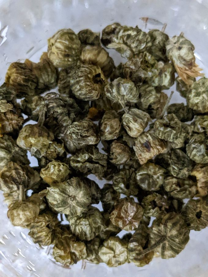 天气热泡一壶胎菊花茶