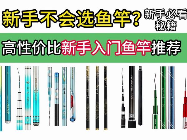 【新手入门级鱼竿】2024年高性价比入门新手钓鱼竿推荐购买大全，自用 送礼，鱼竿选购技巧及鱼竿选购问题答疑和高性价比鱼竿品牌推荐，帮助你选择合适自己钓鱼竿