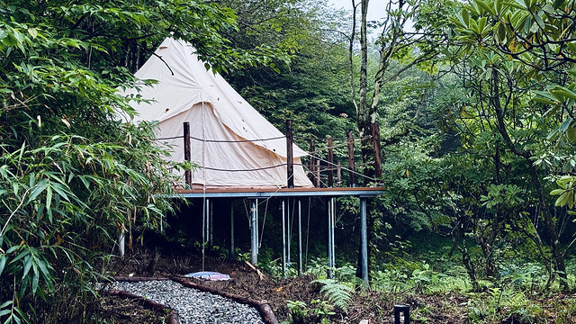 夏天带娃去山里露营🏕️