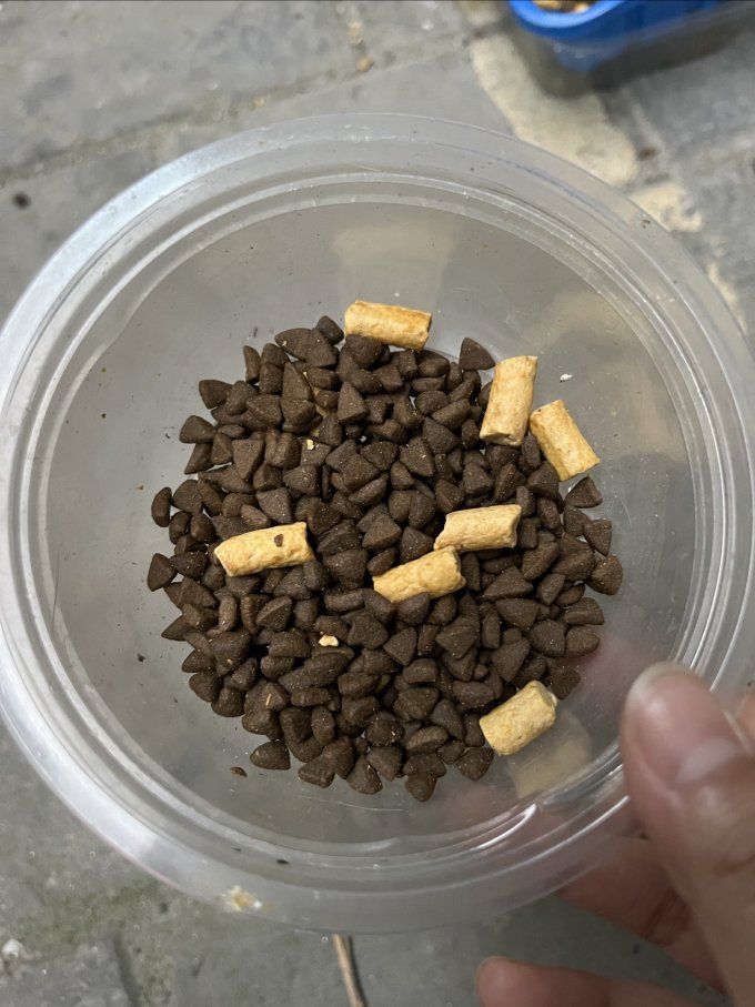 弗列加特猫咪干粮