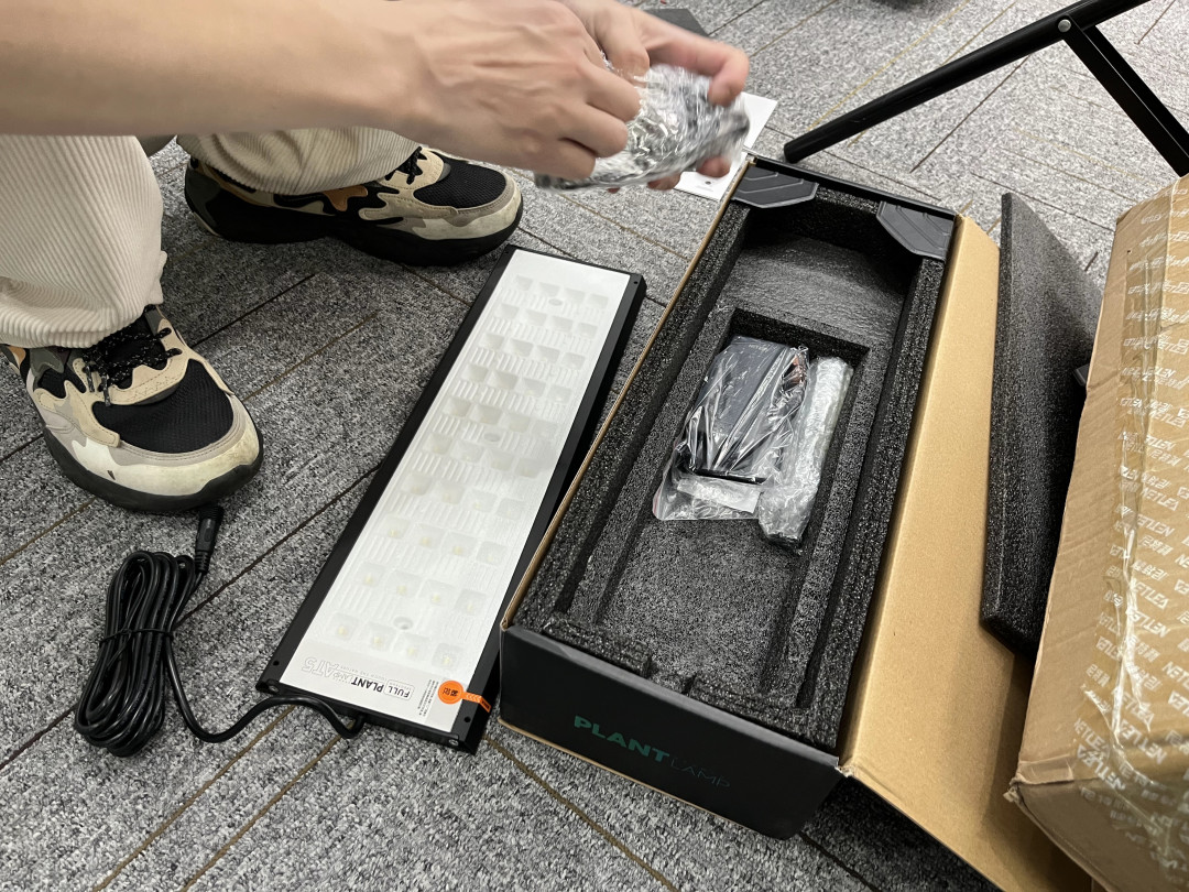 职场“爆缸”计划:造景一点儿都不累,就是花点小钱 —「荷兰景」
