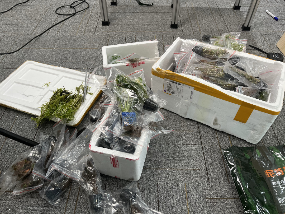 职场“爆缸”计划:造景一点儿都不累,就是花点小钱 —「荷兰景」