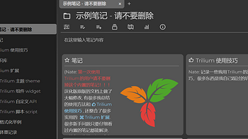 私有化的中文笔记工具&个人知识库，极空间Docker部署中文版『Trilium Notes』