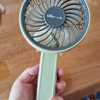 小熊手持小风扇，夏日清凉小伙伴！