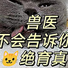 猫咪绝育到底好不好？看看学者怎么说