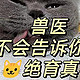 猫咪绝育到底好不好？看看学者怎么说