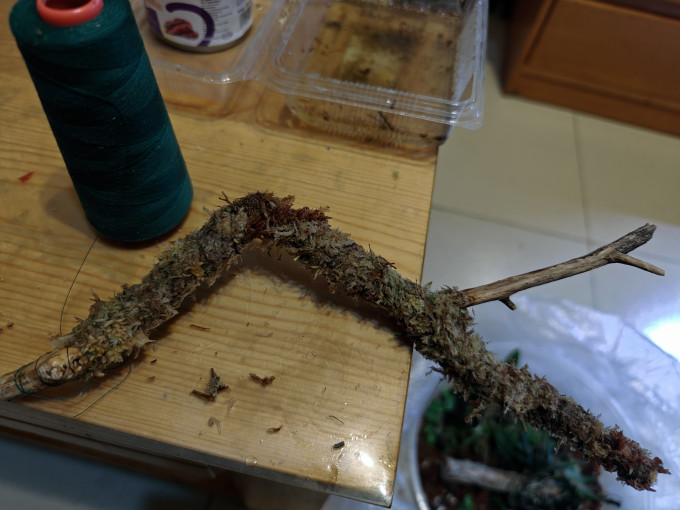 萌嘟星宠其他装饰