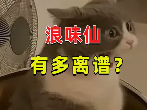 【半佛】浪味仙比薯片离奇一百倍。