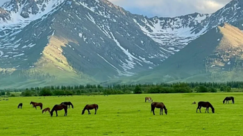 新疆那拉提草原，7月份再不去草要变黄了，天也要冷了
