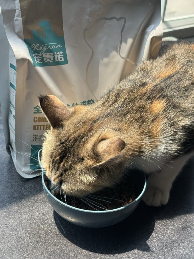 宠贵诺猫咪干粮