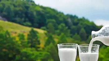 每天喝 1 杯牛奶，身体会发生什么变化？